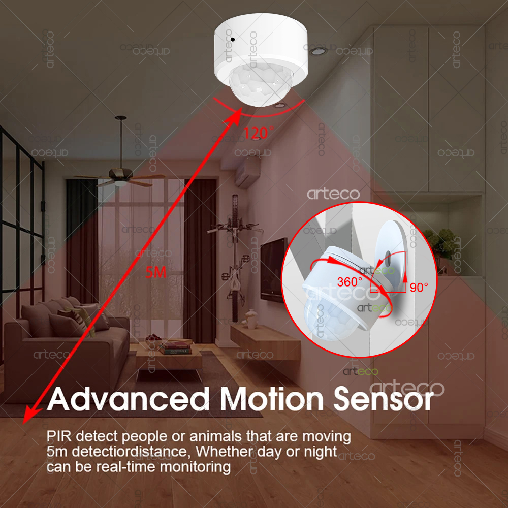 Ewelink Zigbee PIR Motion Sens - Home Security Alexa reseña y precio