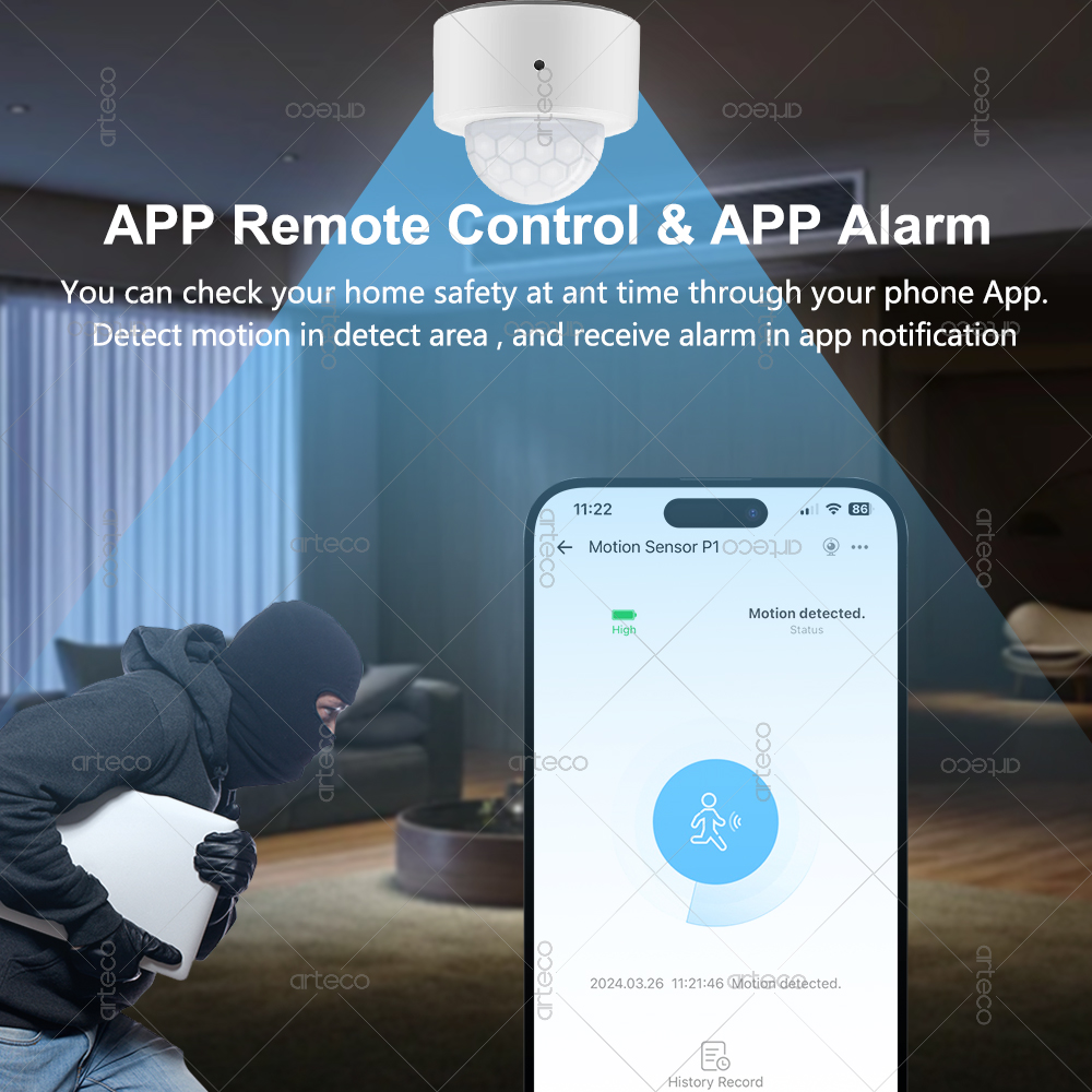 Ewelink Zigbee PIR Motion Sens - Home Security Alexa reseña y precio