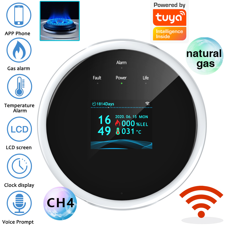 2.4G WiFi Gas Alarm Sensor Com - Home Security Network reseña y precio