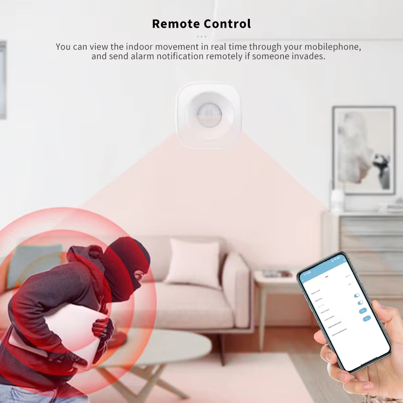 Tuya ZigBee/WiFi PIR Motion Se - Home Security Alexa reseña y precio